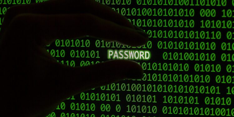 identifikace